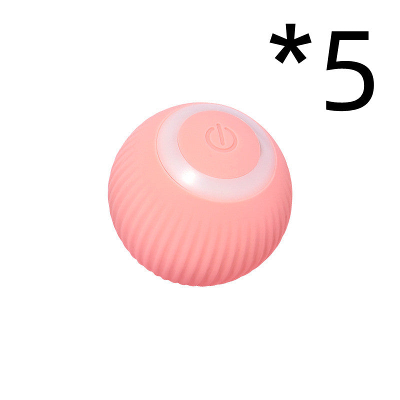 Pet Gravity Rolling Ball
