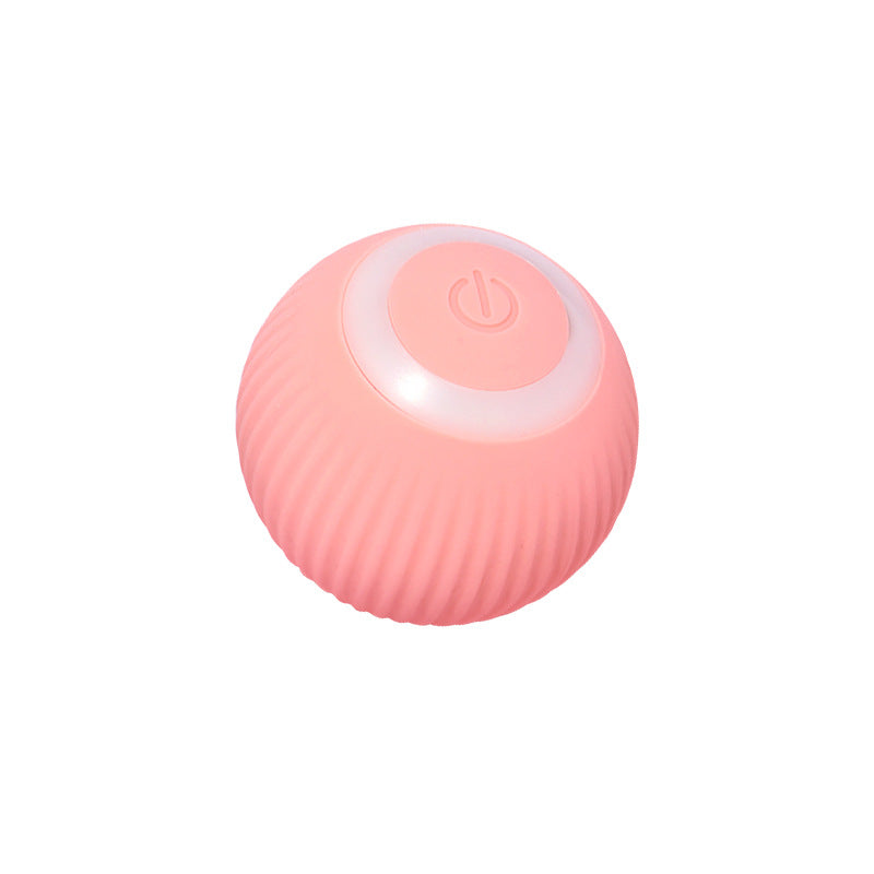 Pet Gravity Rolling Ball