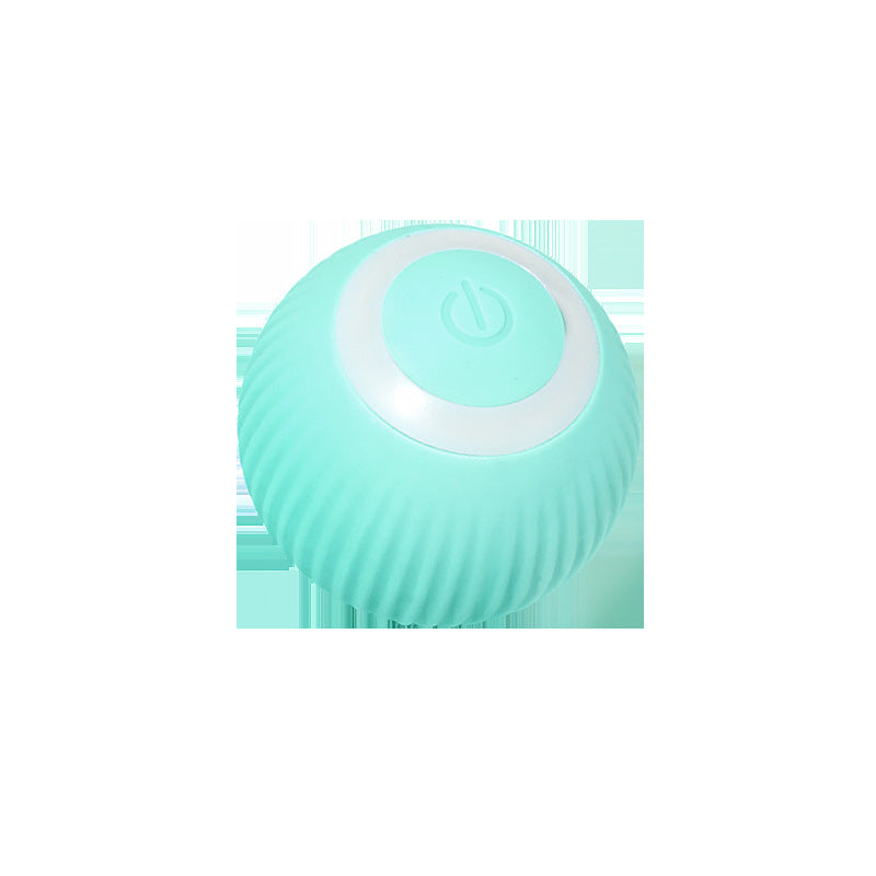 Pet Gravity Rolling Ball