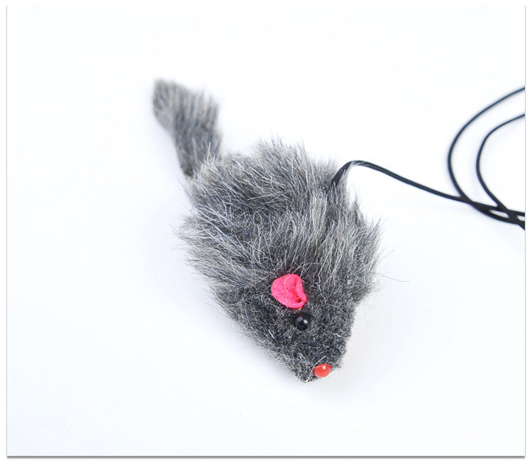 Pet Telescopic Hanging Door Toy