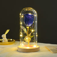 Valentines Day Gift  Eternal Rose Flowers LED Light In Glass Cover Decoration Mother Day Gift