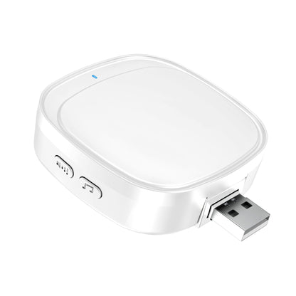 𝐈𝐧𝐝𝐨𝐨𝐫 𝐃𝐢𝐧𝐠𝐝𝐨𝐧𝐠 𝐃𝐨𝐨𝐫𝐛𝐞𝐥𝐥