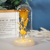 Valentines Day Gift  Eternal Rose Flowers LED Light In Glass Cover Decoration Mother Day Gift