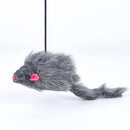 Pet Telescopic Hanging Door Toy