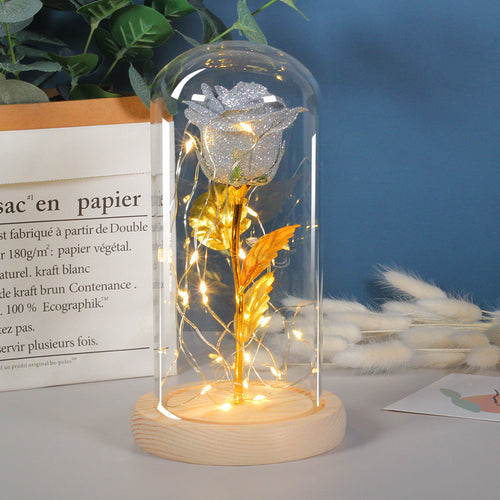 Valentines Day Gift  Eternal Rose Flowers LED Light In Glass Cover Decoration Mother Day Gift