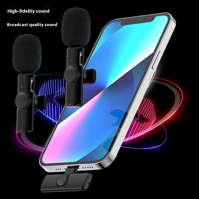 Outdoor Wireless Microphone