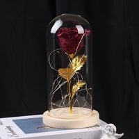Valentines Day Gift  Eternal Rose Flowers LED Light In Glass Cover Decoration Mother Day Gift