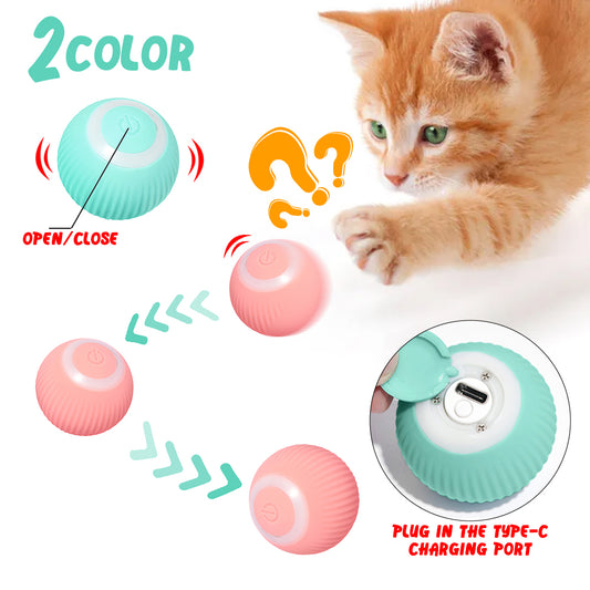 Pet Gravity Rolling Ball