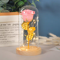 Valentines Day Gift  Eternal Rose Flowers LED Light In Glass Cover Decoration Mother Day Gift
