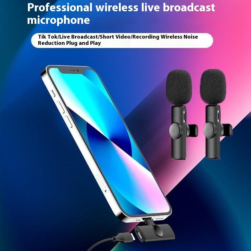 Outdoor Wireless Microphone