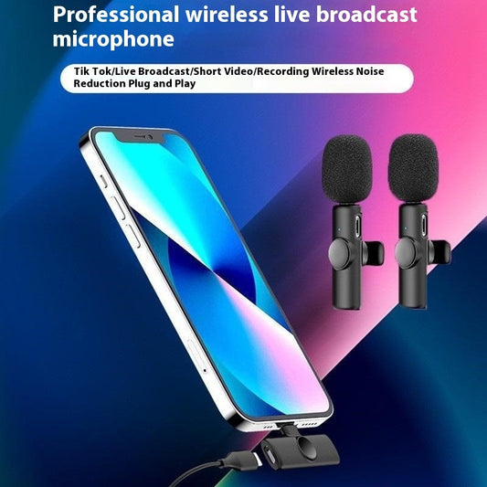 Outdoor Wireless Microphone