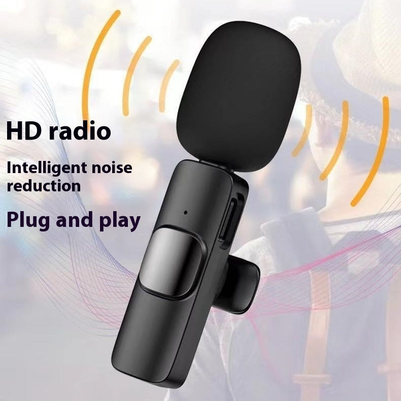 Outdoor Wireless Microphone